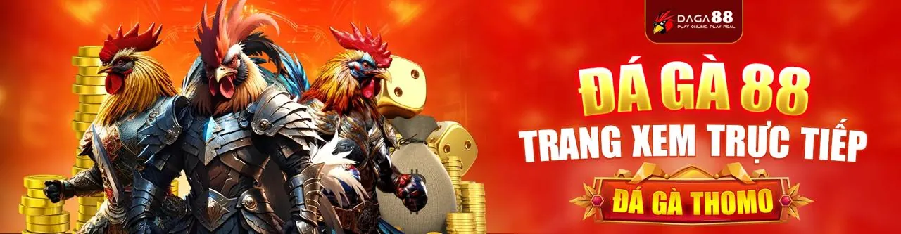 Sân đấu đá gà trực tuyến sôi động tại iun88 nhà cái