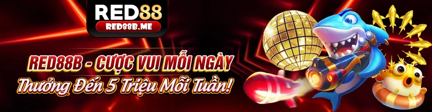 iun88 nhà cái Hướng Dẫn Người Mới